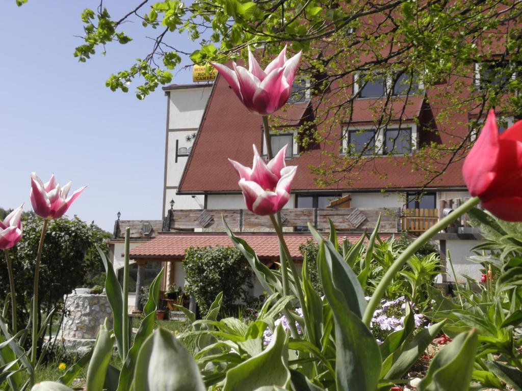 Pansion & Restoran Winnetou Plitvička Jezera Kültér fotó